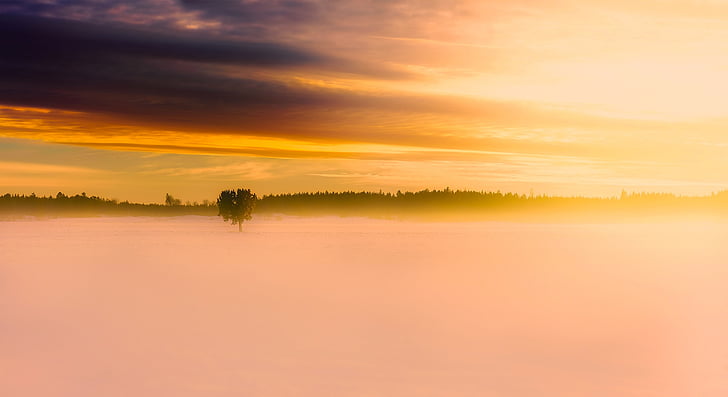 Sverige, Panorama, soluppgång, Dawn, morgon, vinter, snö