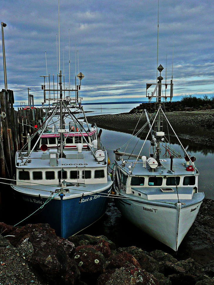 Fisher, boten, water, Shoreline, Kreeft, schemering, baai van fundy
