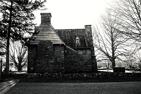 niveaux de gris, photo, maison, à côté de, arbre, pierres, toit