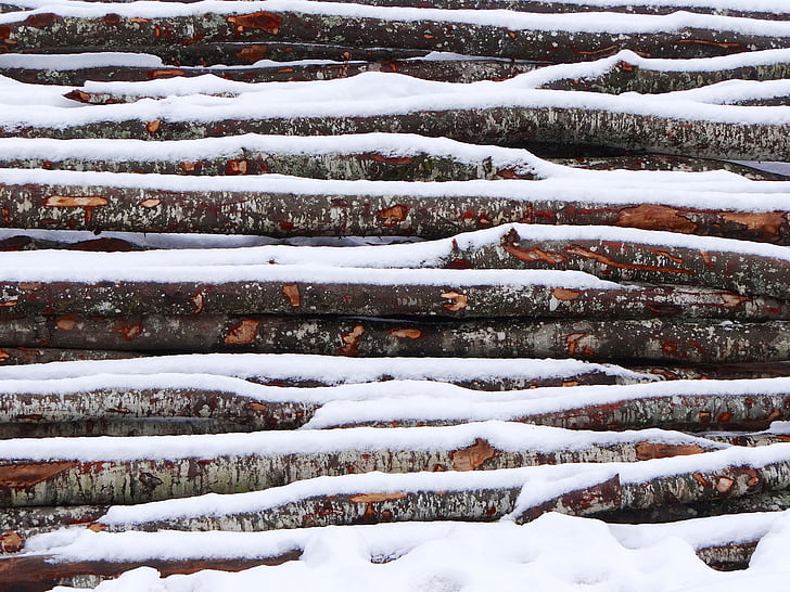 kayu, salju, musim dingin, dingin