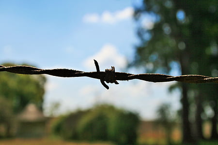 barbed wire, wire, barb, twisted, barbed, sharp, security