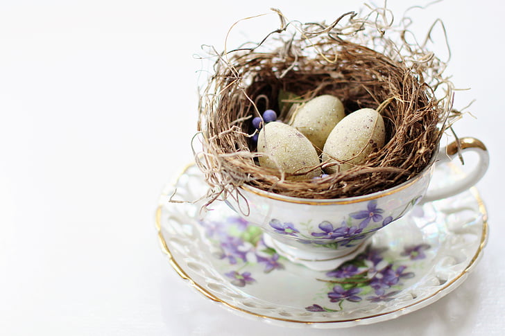 tea cup, vintage tea cup, bird's nest, nest, eggs, bird's eggs, easter