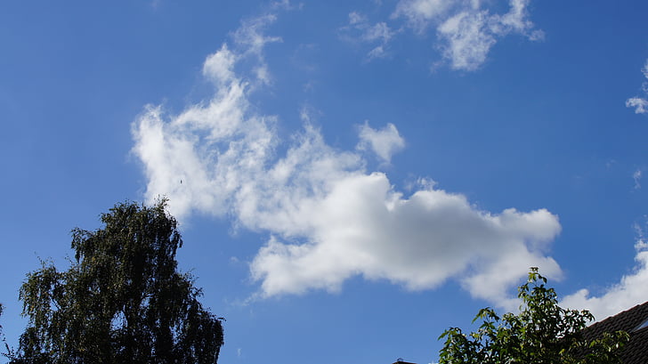 cloud, air, clouds, nature, blue, tree, sky