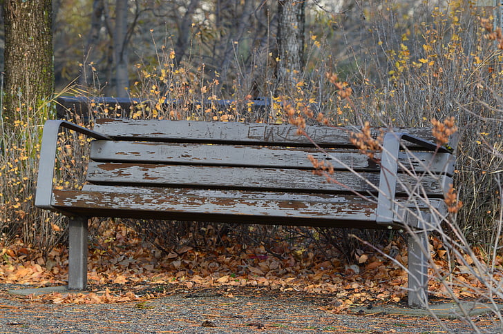 bench, rustic, weathered, nature, park, seating, wooden