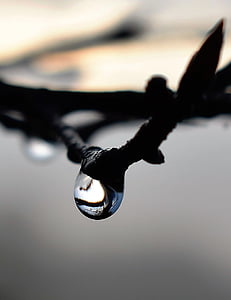drop of water, dew, dewdrop, autumn, leaf, nature, water