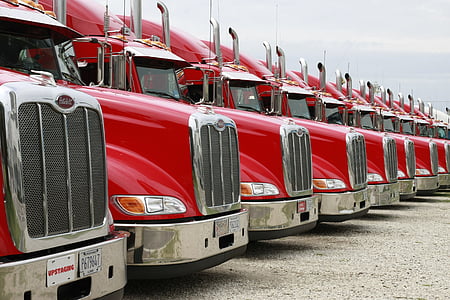 trucks, peterbuilt, vehicle, red trucks, transportation, mode of transport, in a row