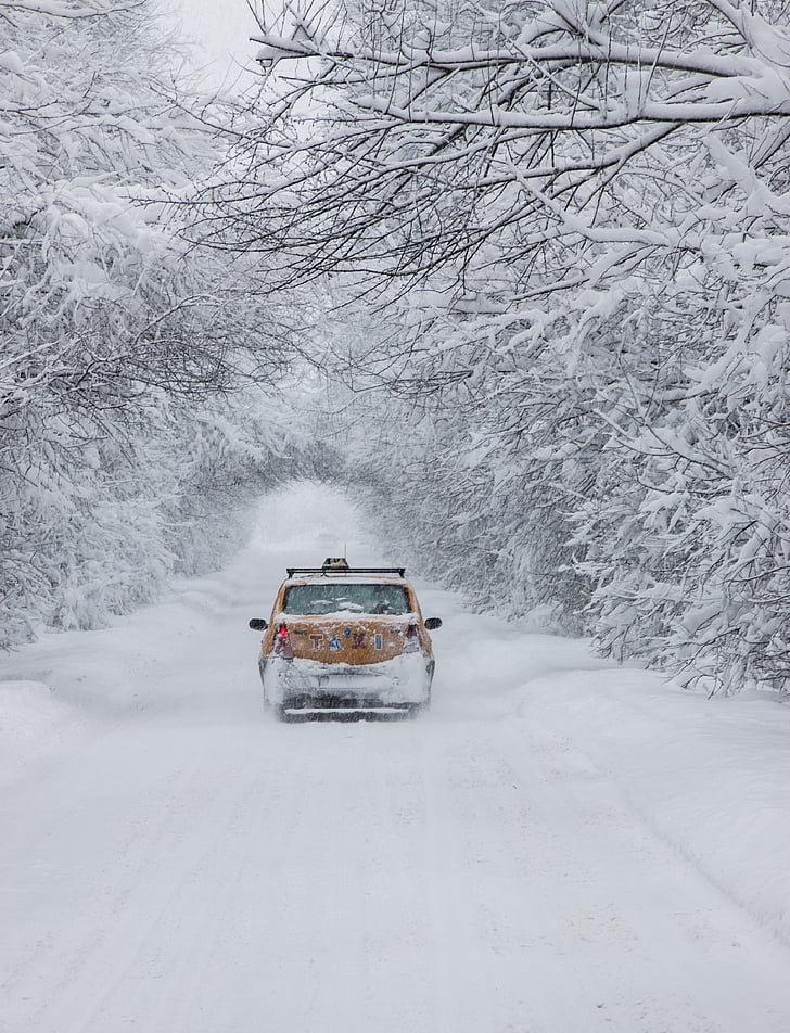neu, blanc, cotxe, l'hivern, temperatura freda, transport, mode de transport