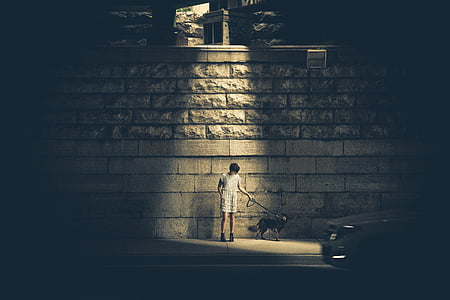 persoană, câine, lângă, beton, perete, femeie, băiat