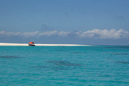 背景, 海滩, 蓝色, 加勒比海, 哥斯达黎加, 概念, 珊瑚