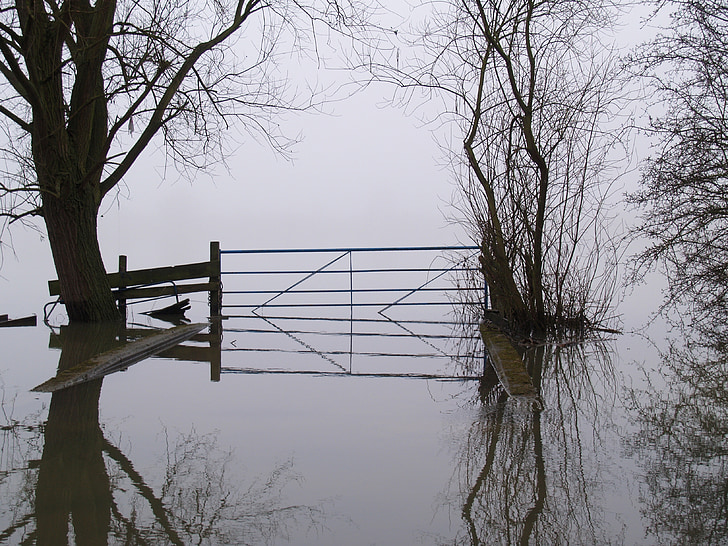 flood, misty, farm, nature, landscape, fog, water
