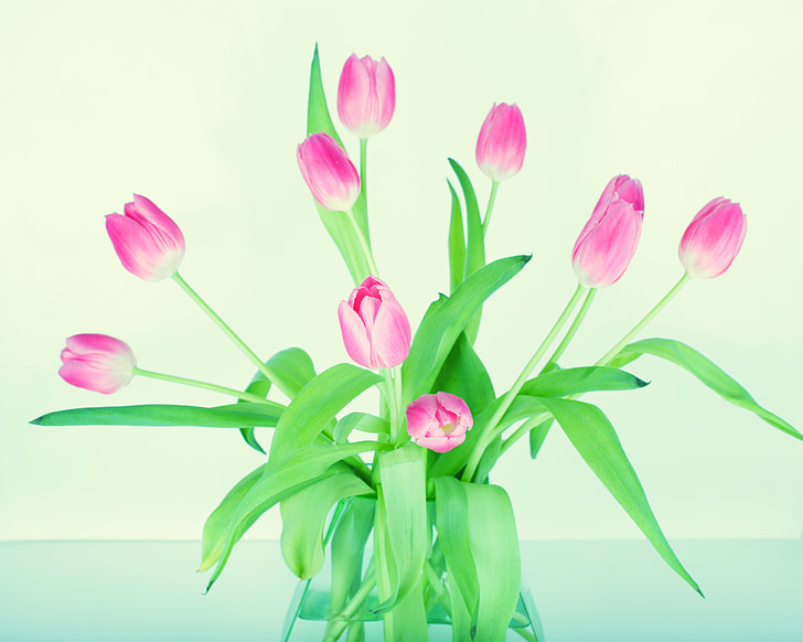 цвете, лале, Пролет, ваза за цветя, пастел, ваза, букет