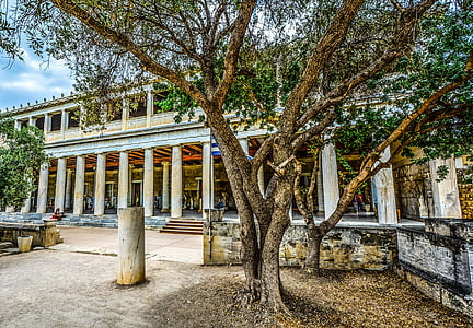 arbre, Atenes, l'Acròpoli, Museu, columnes, arquitectura, viatges