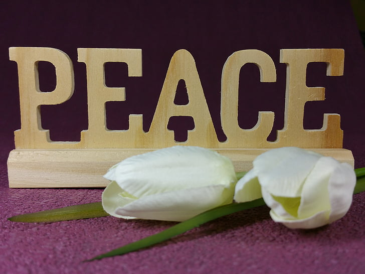 esperança, paz, decoração, flores, madeira, plano de fundo