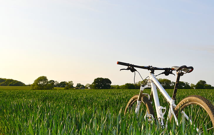 bicicletes, bicicleta, paisatge, conreu, granja, camp, herba