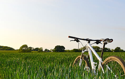 vélo, vélo, campagne, terres cultivées, ferme, domaine, herbe