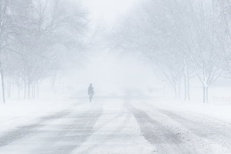 暴雪, 雪, 冬天, 步行, 感冒, 天气, 寒冷的温度