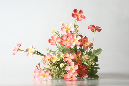 スティル ・ ライフ, 花, 写真, 自然, ピンク色, 工場, 頭花をつける