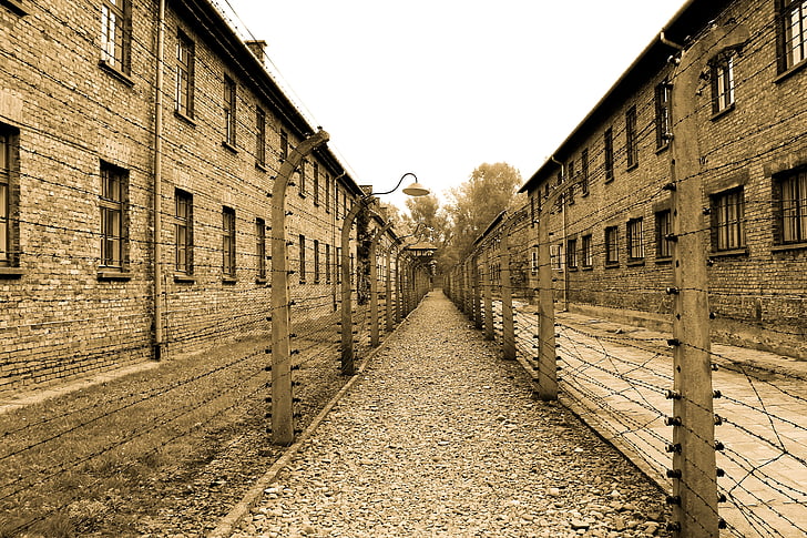 Osvětim, vyhlazovací tábor, alej, koncentrační tábor, pracovní tábor, smrt, Muzeum