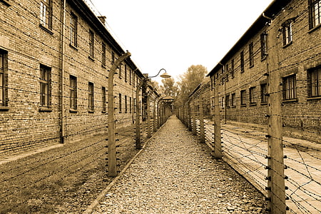 auschwitz, extermination camp, alley, concentration camp, labour camp, death, the museum