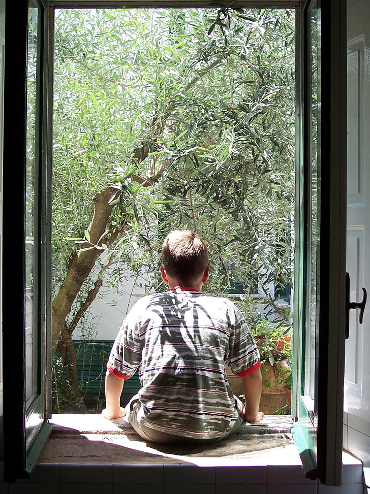 window, guy from behind, olivo, olive tree, trees, leaves, one Person