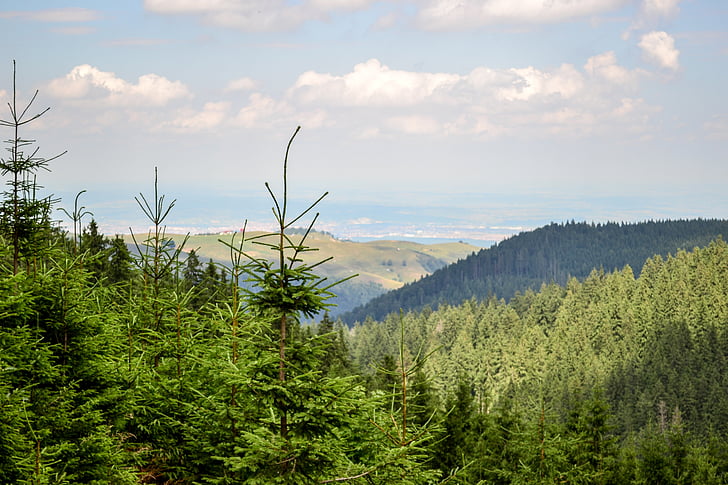 mountain, landscape, trees, travel, forest, nature, summer