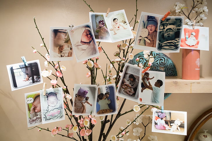 premier anniversaire, anniversaire, bébé, Parti, photos, arbre, décoration