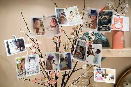 první narozeniny, narozeniny, dítě, strana, Fotografie, strom, dekorace
