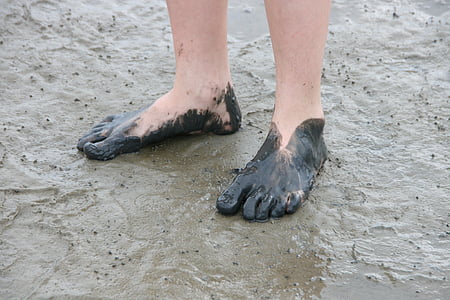 pés de watt, Watts, mar de Wadden, Mar do Norte, pé humano, praia, perna humana