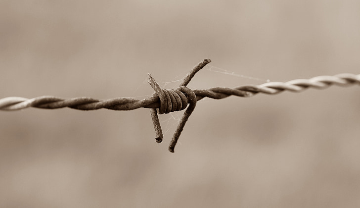 barbed wire fence, barbed wire, fence, old, metal, black and white, rusty