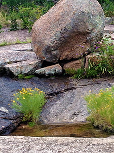 魔法石, 野花, 粉红色花岗岩, 水, 自然, 岩石-对象, 户外