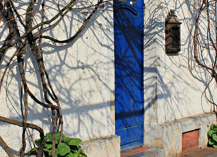 nhà cổ, màu xanh cửa, phong hóa, cửa trước, đầu vào, lối vào nhà, cũ