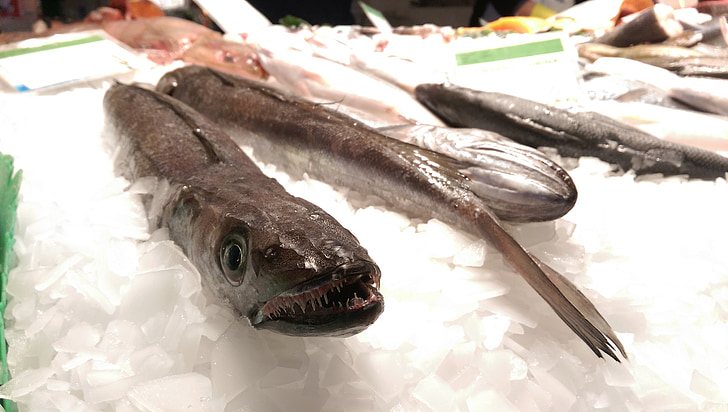 fisk, kalt rothmans, fisketorget, sjømat, mat, friskhet, rå mat