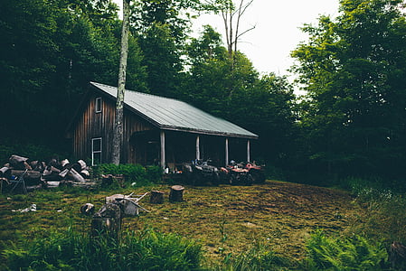 Stuga, Camping house, skogen, loggarna, fyrhjuling, trästuga, trä stockar