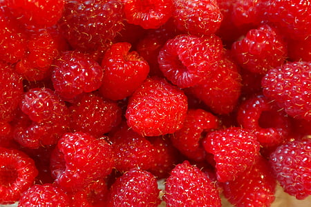 red, raspberry, fruits, Raspberries, Fruit, Berries, Vitamins