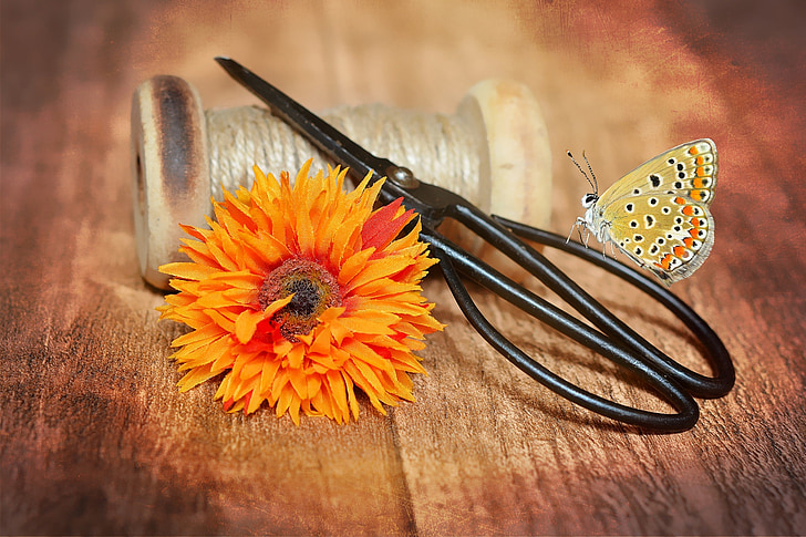 coil, wooden reel, yarn, scissors, old scissors, fabric flower, dekoblume