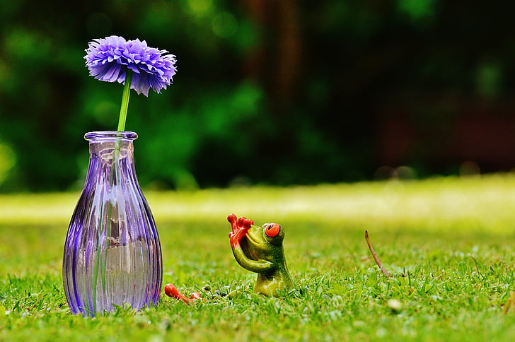 vase, flower, frog, funny, cute, sweet, meadow