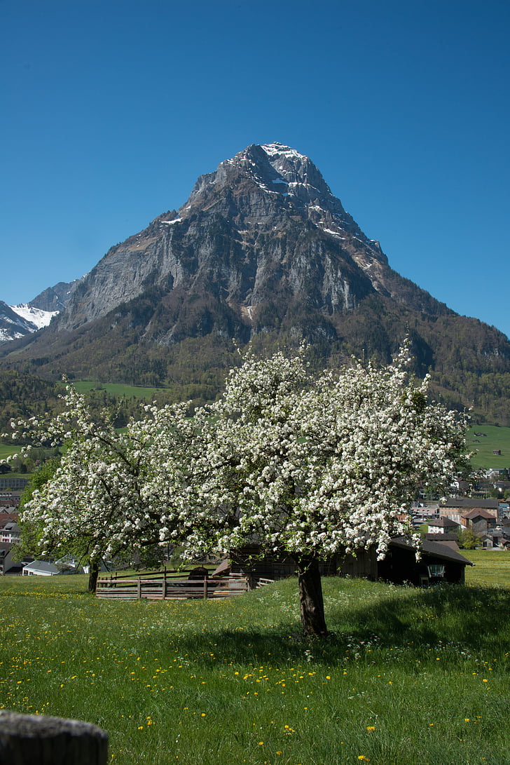Glarus, poblíž, hory, Švýcarsko, přední Glärnish, Kanton glarus, jaro
