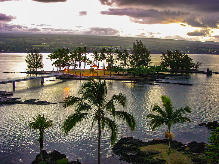 coconut, island, hilo, hawaii, palm, trees, dusk