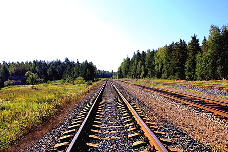 railway, surrounded, trees, blue, sky, green, forest