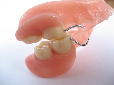 zuby, zub, lidské, borovice, sponu, třetí strany