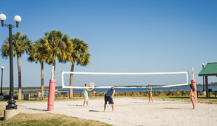 beachvolleybal, Volleybal net, Pine island, tropische, natuur, exotische, tropen