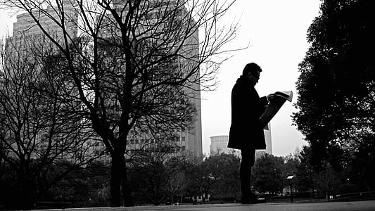 Châu á, Trung Quốc, người đàn ông, đọc, công viên, tờ báo, Silhouette