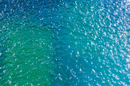 ray, fish, water, ocean, sea, nature, blue