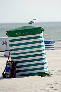 borkum, beach tent, seagull, north sea coast, holiday, sea