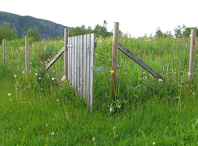 fence, wood, post, wire, demarcation, meadow, grass