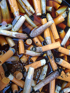 Zigarettenfilter, Zigaretten, Zigarettenkippe, Feinkost, Abhängigkeit, Tabak, Freude