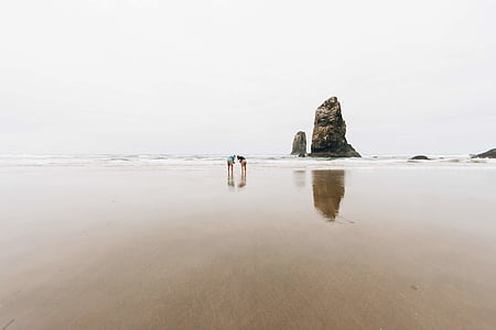 in piedi, persone, marrone, sabbia, vicino a, oceano, roccia