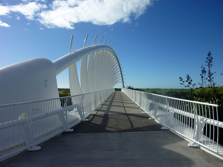 bridge, shell, architecture