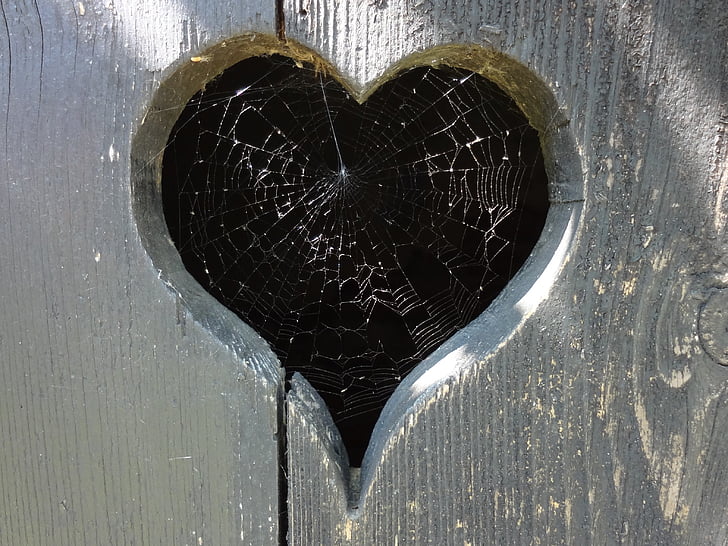 cobweb, heart, klo cottage, toilettenhaus, spider, love, romance