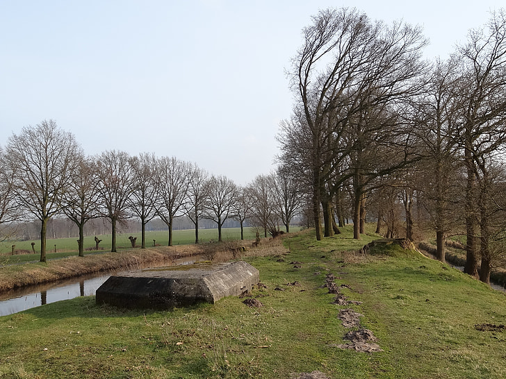 natura, paisatge, Països Baixos, l'aigua, arbres, veure, arbre